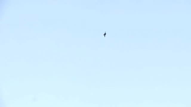 Люди-птицы...