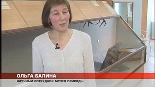 В Екатеринбурге появилась своя кунсткамера