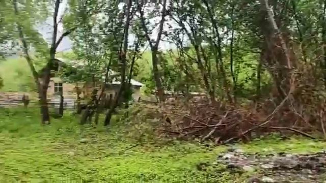 Участок вдоль тракта!!!