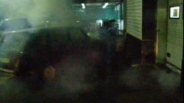 травля тараканов на Вита-Моторс