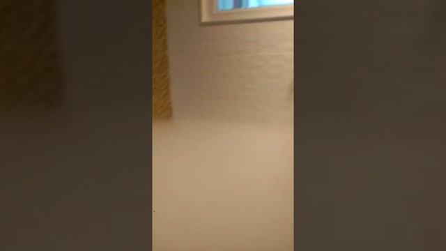 Эксперименты с сухим льдом в квартире. Моржевание в домашних условиях