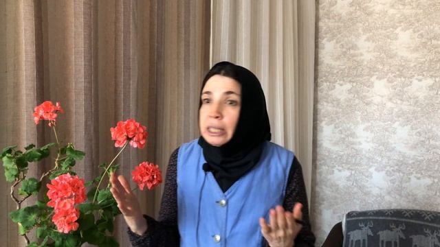 Пюре из баклажанов с овощами и изысканный десерт