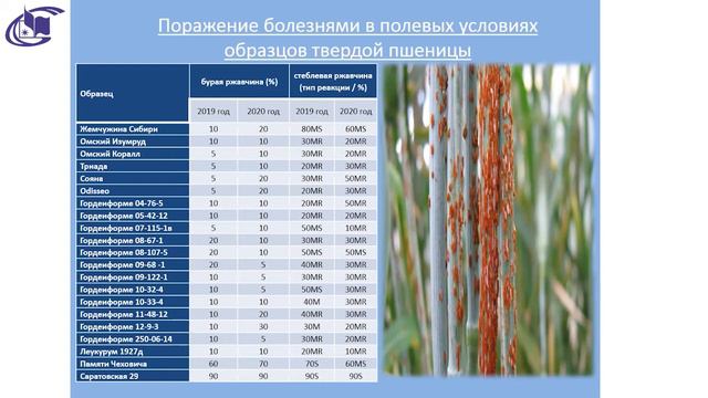 Глушаков Д. А. - Устойчивость твердой пшеницы