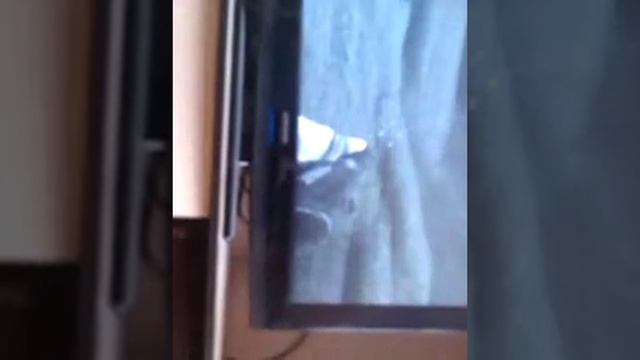 Все серии прохождение фар край 2