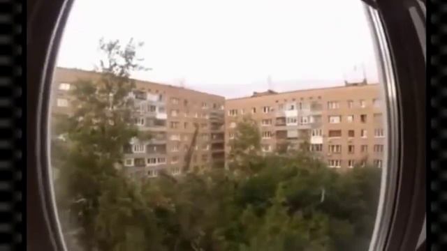 ЧТО ползает по нашим домам? ЖУТЬ! Это НЕЧТО!