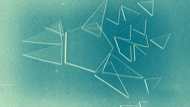 Flowermetria - скляний птах анімація