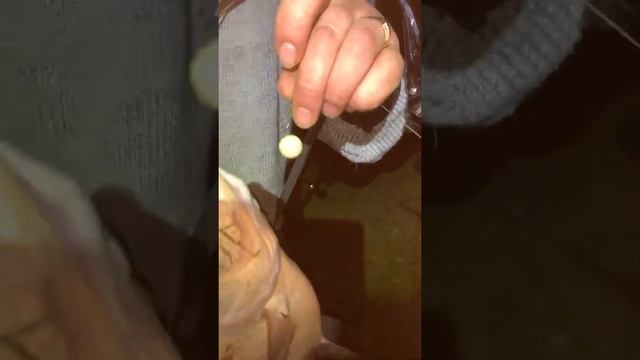 Ночной Клев, Большой Лещ на фидер.