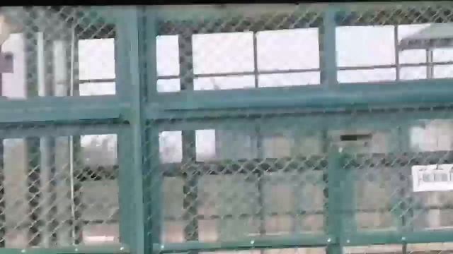 Balasaheb Thackeray Gorewada International Zoological Park Spot Tiger, Bear And Leopard Infinite