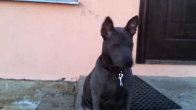 A9341e661748a53f5e36dac8af405c0d