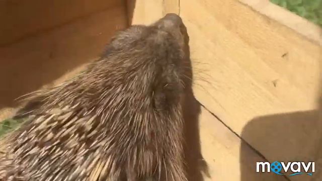 B946486c71ac0f5d0ca9449175378445