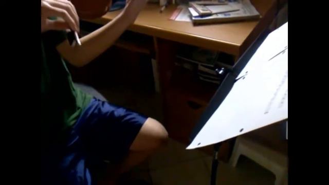 Code Geass R2 Opening 1: O2 (Violin Cover)