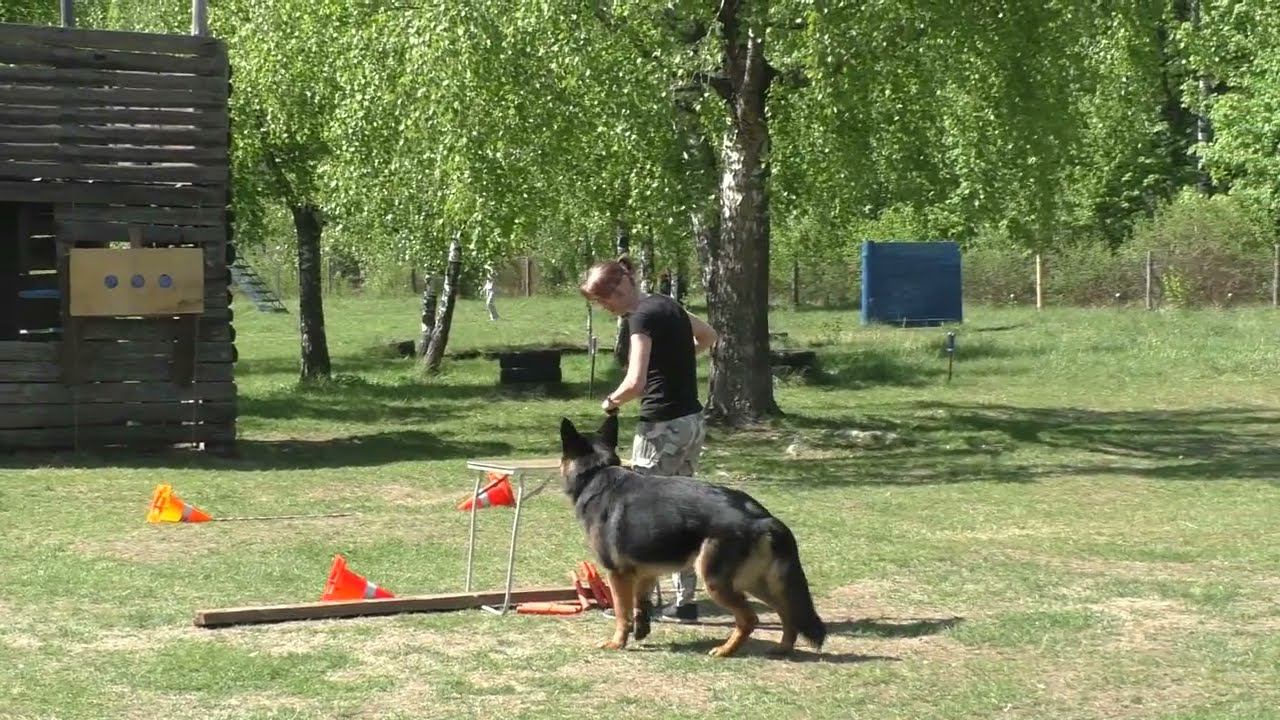 13.05.2023 г. 