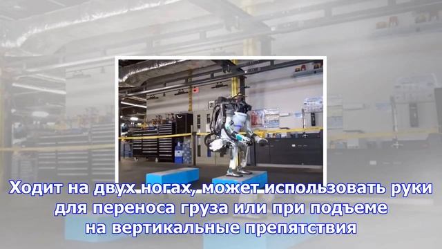 Робота научили делать сальто назад