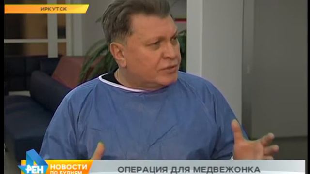 Иркутские врачи вернули зрение цирковой медведице