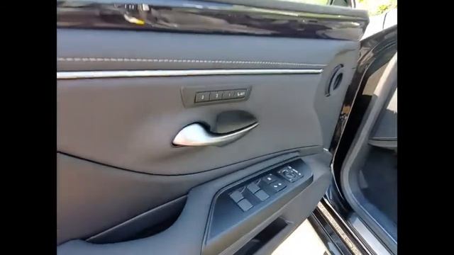 2020 Lexus ES 300h  Schaumburg IL 200756