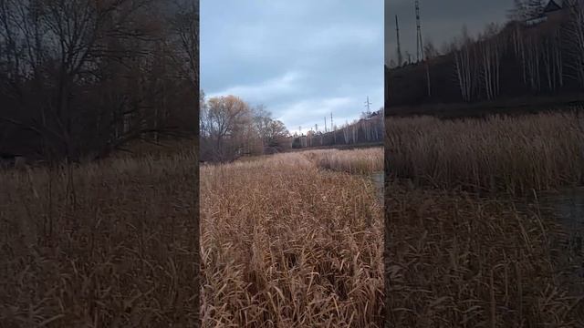 75fa74f3be5385d426326695b5844c2b