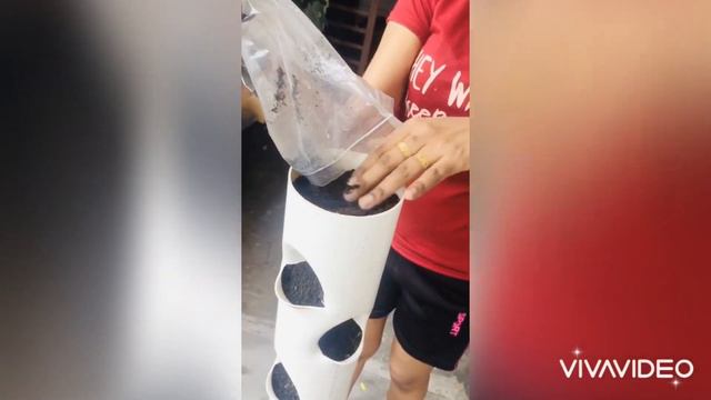 Vertical Tower For Planting | Japanese Rose | Rosa Rugosa