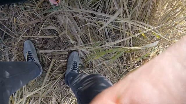 Ловля СУДАКА и рыболовные ПРИМЕТЫ