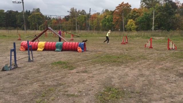 25.09.16 кубок СЗФО по аджилити, А1