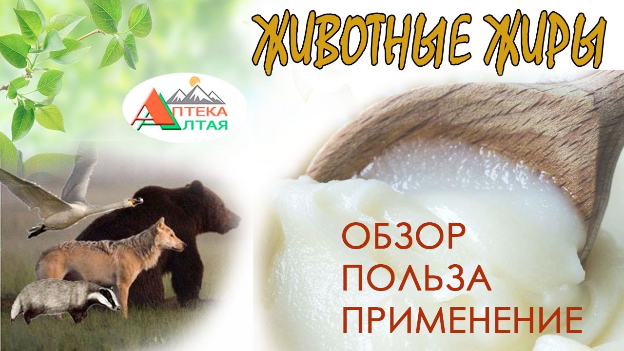 Животные жиры. Обзор, польза и применение.
