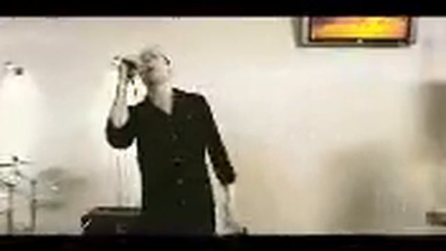 Animal Jazz-3 полоски(cover Version)