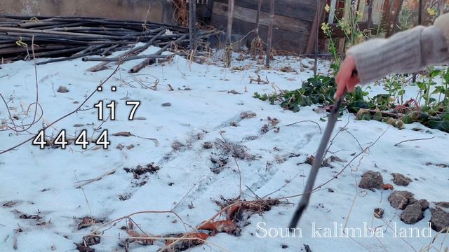 Dance Monkey - Tones And I { Kalimba Cover With Tabs }