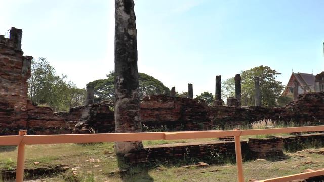 Jesus Loves You Daily Show