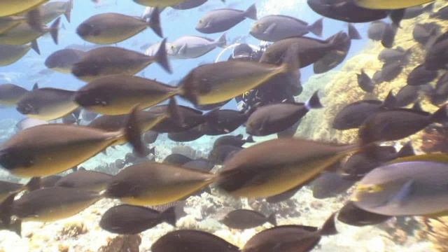 637bc64c7e1abb9d2af145a7b7227ab6