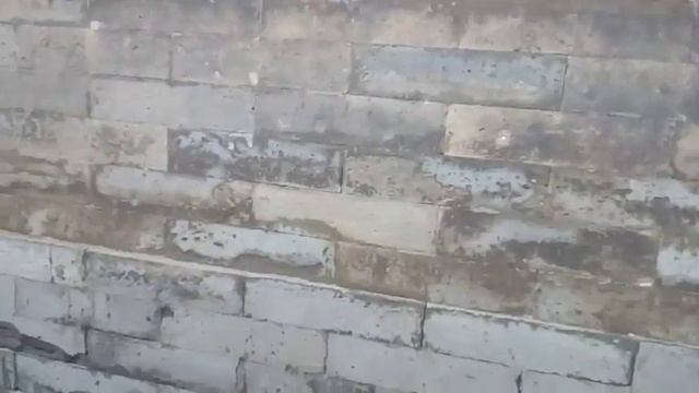 Пекин. Храм Неба. Фрагмент 3. Заклепки и дУхи.