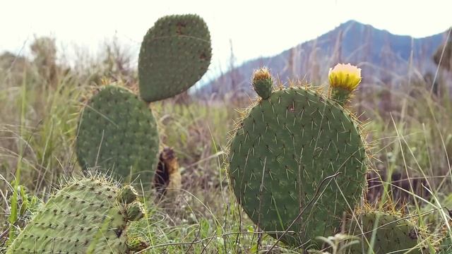 B26209333c7ed1724fa26790b7d50309