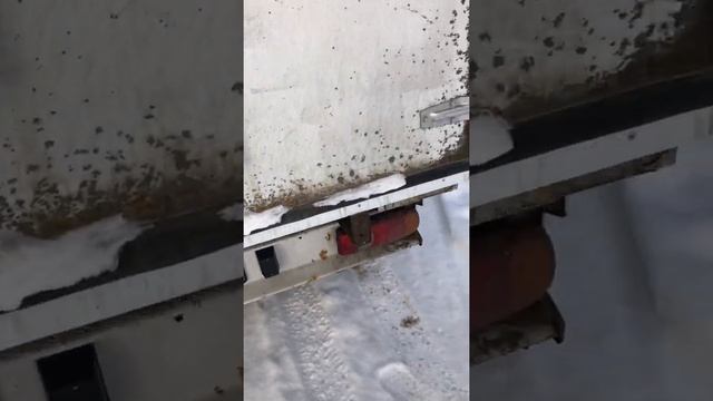 Fiat Ducato рефрижератор