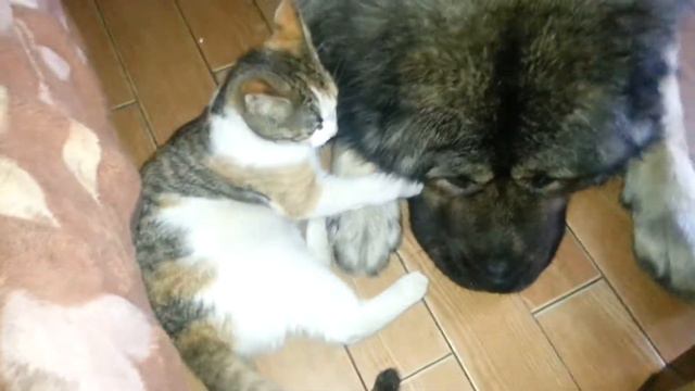 A5410079f50c8222f155e36a4845fd14