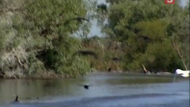 Россия из окна поезда. Авандельта Волги