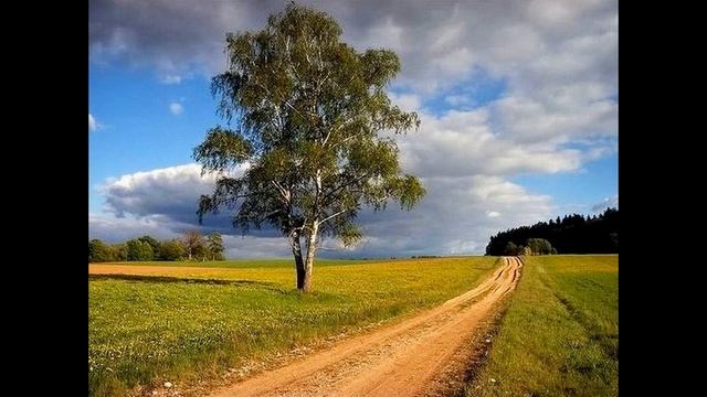 6ffd2212914d244c57d58a3c94e22c3a