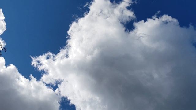 73eacb447ba30347a7ee20ef56965605