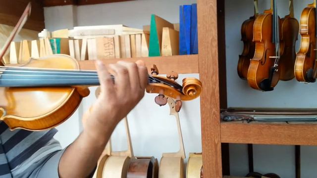 Violino Luthier Nicolai Amati. Escuro