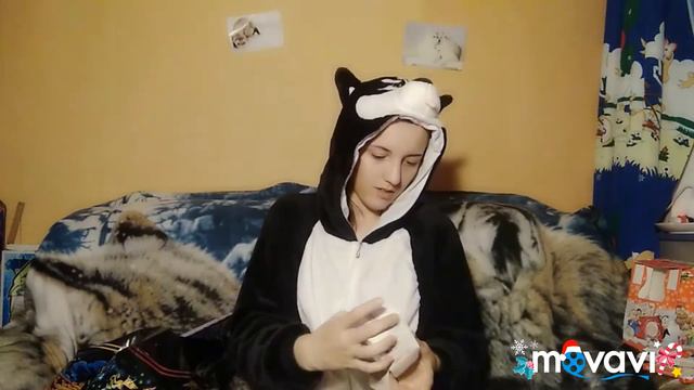 Что мне подарили на Новый год/ Открываю свои подарки/ Мои подарки/ Завели далматина и вторую хаски