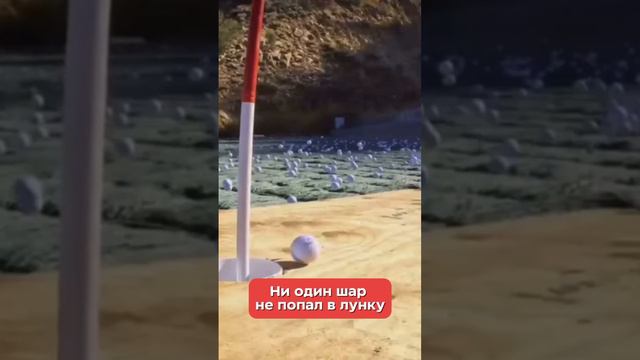 Фокус внимания - ключ к успеху!
