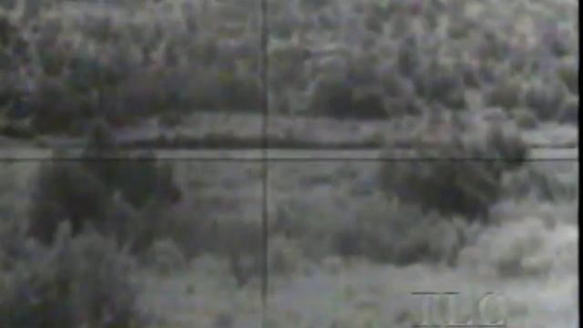 Fire Ant EFP Tank Killer