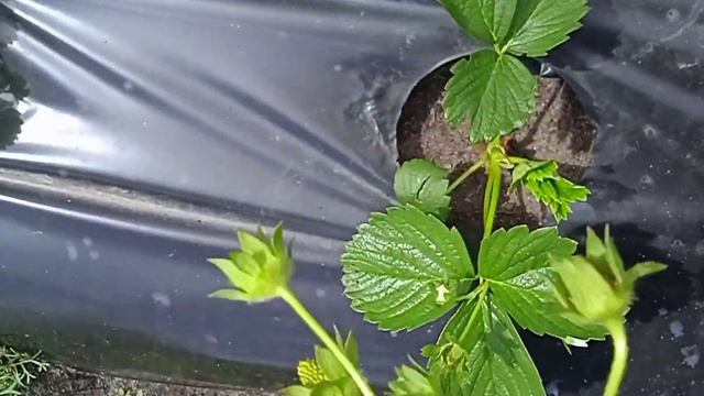 D6e097d1e882935f0e5381cd36577c12