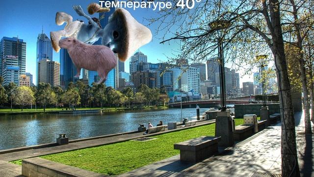 мои сны при температуре 40⁰