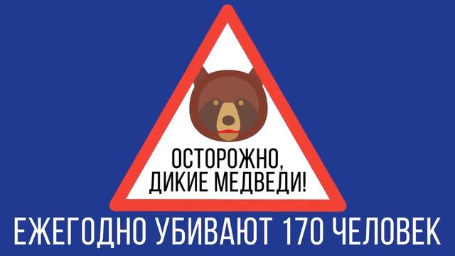 Что,если бы человек понимал ЯЗЫК ЖИВОТНЫХ