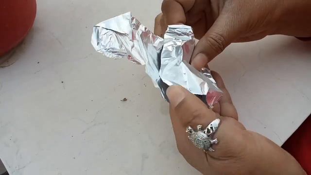 How To Collect SEEDS From PETUNIA