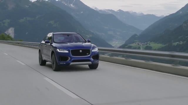 Дорожные Истории