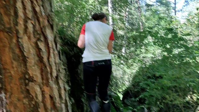 Ed12f1d57ba3304713a0830d3b6d1d88