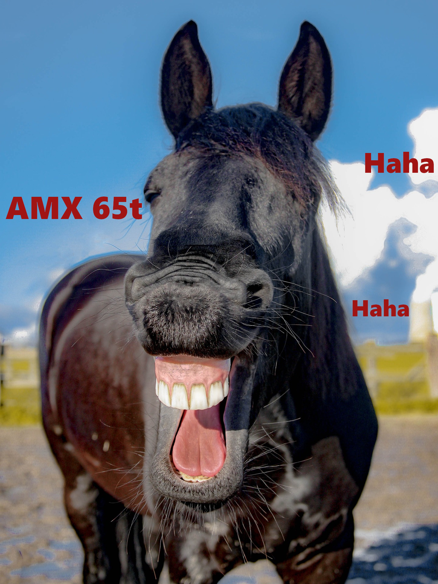 World Of Tanks - AMX 65t - Какая победа, ха-ха-ха, ха-ха-ха