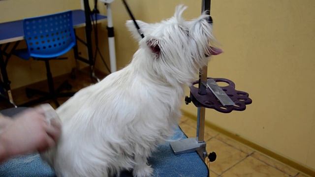 0d7ff8499585bc9a8e2b6b8104ea1b6b