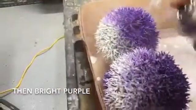 MAKING FAUX Allium Flowers