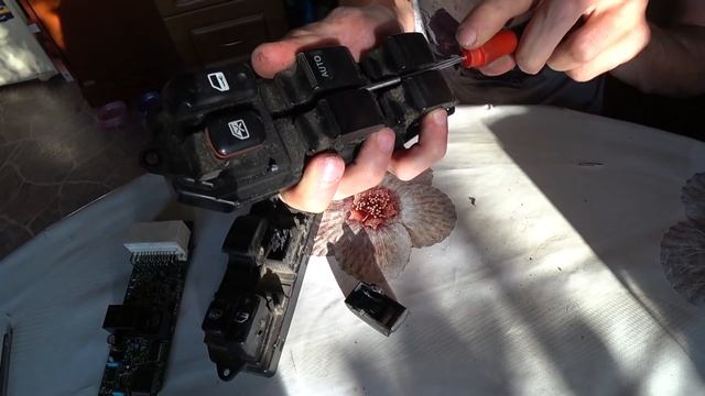 Чистка без границ