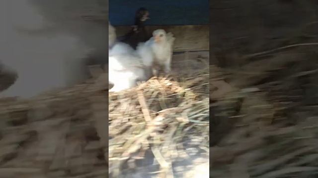 130289c79f560dffe720b48de4784eb2